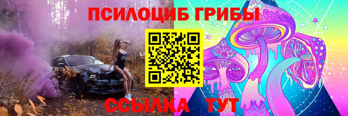Галлюциногенные грибы Cubensis  Псилоцибиновые грибы Magic Shrooms  Сокол  Вход с VPN 